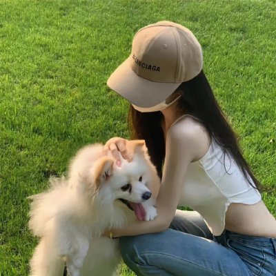 凶猛动物海报